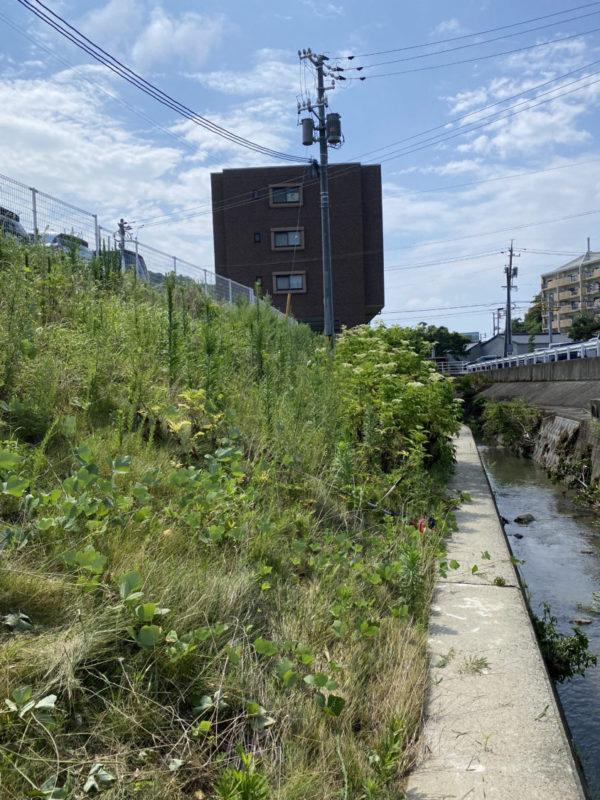 斜面の草刈り